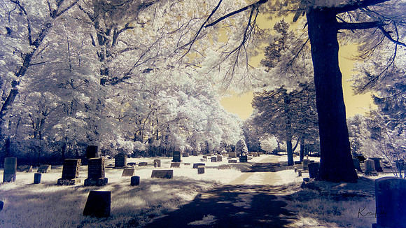 Cemetery_O5A6148-Enhanced-NR_O5A6148-Enhanced-NR