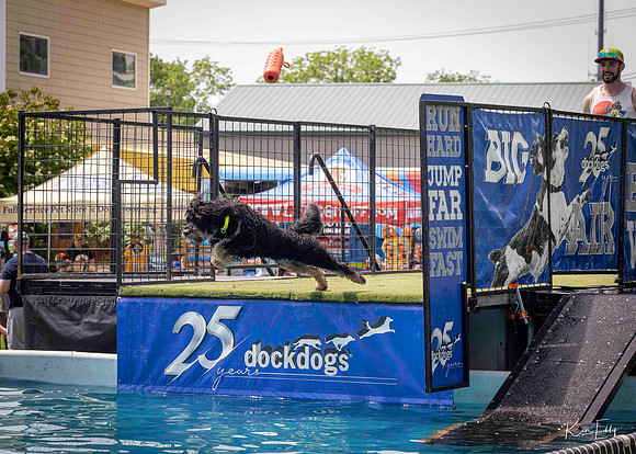 DockDogs_O5A4509_O5A4509
