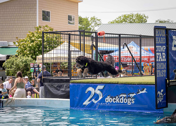 DockDogs_O5A4510_O5A4510