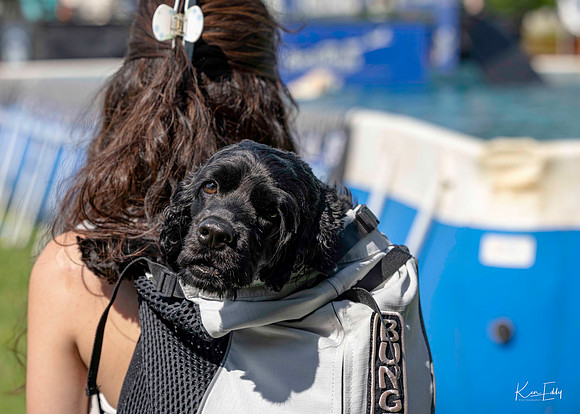 DockDogs_O5A4198_O5A4198