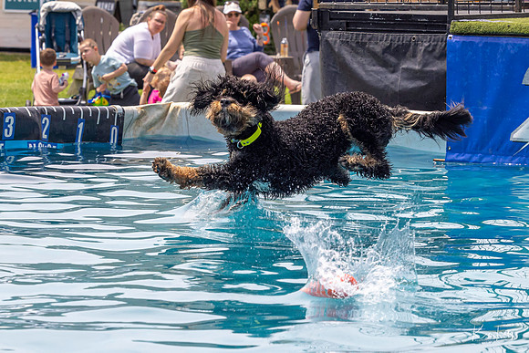 DockDogs_O5A4514_O5A4514
