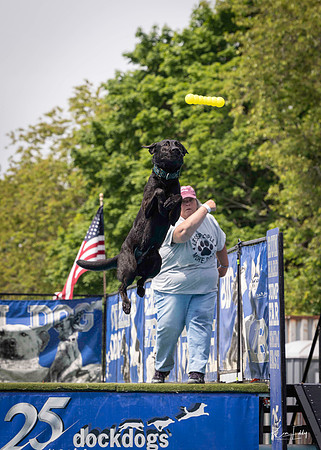 DockDogs_O5A4423_O5A4423