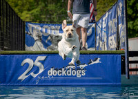 Dock Dogs Greenport