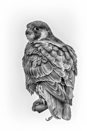 DuneRD-7757-Edit_HDR.JPG