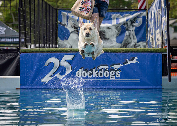 DockDogs_O5A4550_O5A4550