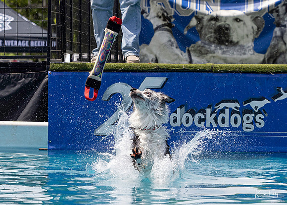 DockDogs_O5A4594_O5A4594