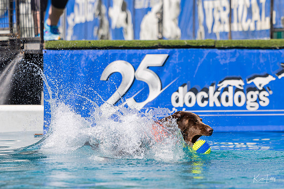 DockDogs_O5A4111_O5A4111