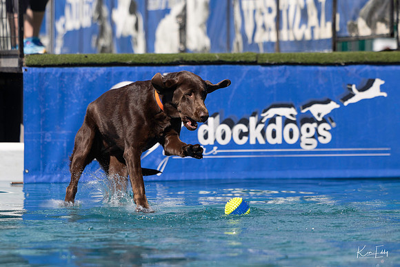 DockDogs_O5A4110_O5A4110