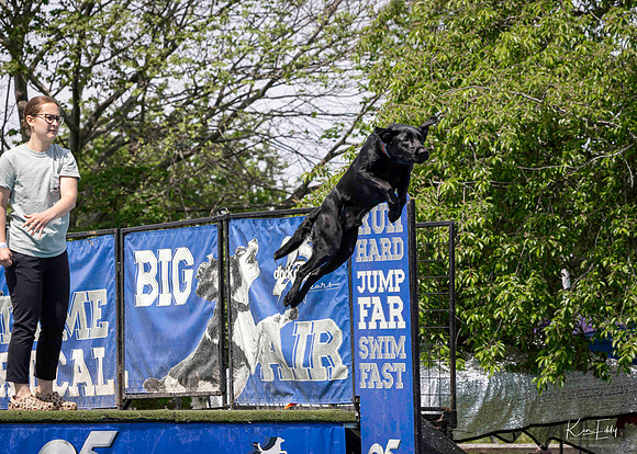 DockDogs_O5A4364_O5A4364