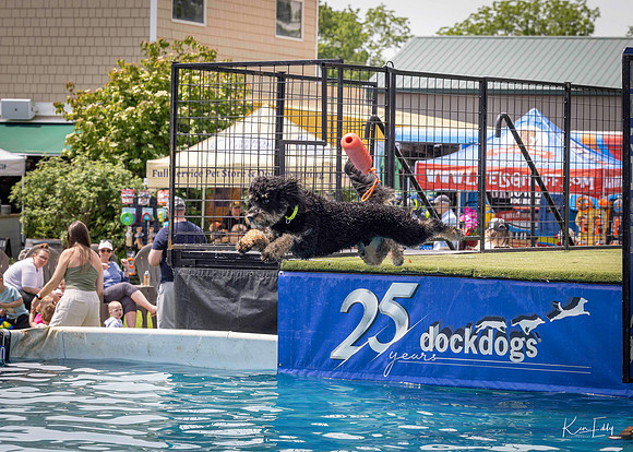 DockDogs_O5A4511_O5A4511