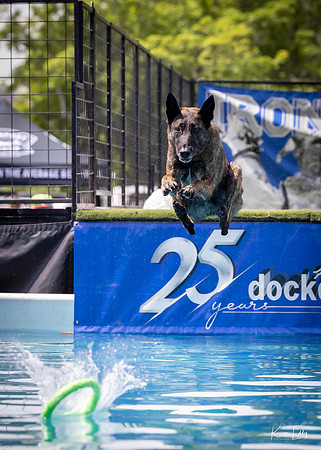 DockDogs_O5A4564_O5A4564