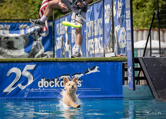 DockDogs_O5A4442_O5A4442