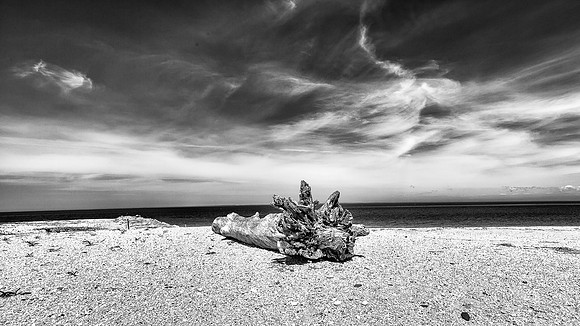 IMG_3031-Edit.JPG