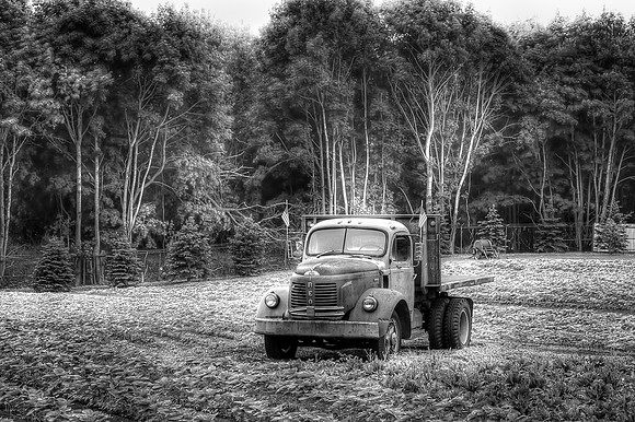 IMG_1207_2_3_tonemapped.JPG