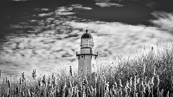 PF6A4397-Edit-Edit.JPG
