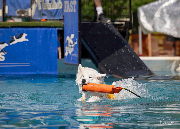 DockDogs_O5A4216_O5A4216