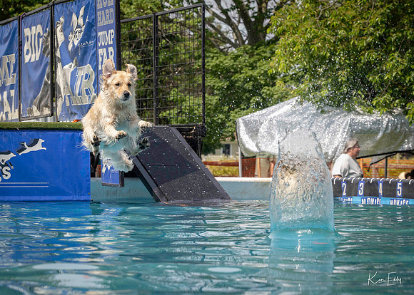 DockDogs_O5A4316_O5A4316