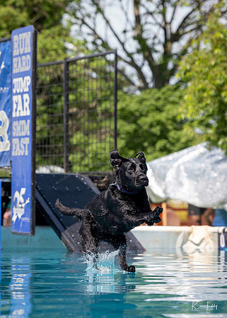 DockDogs_O5A4187_O5A4187