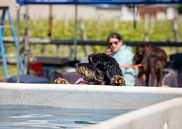 DockDogs_O5A4182_O5A4182