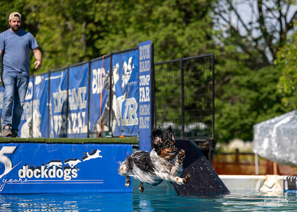 DockDogs_O5A4114_O5A4114