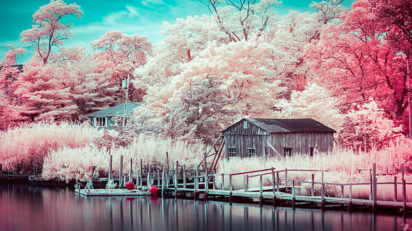 untitled_O5A5724_O5A5724-Edit