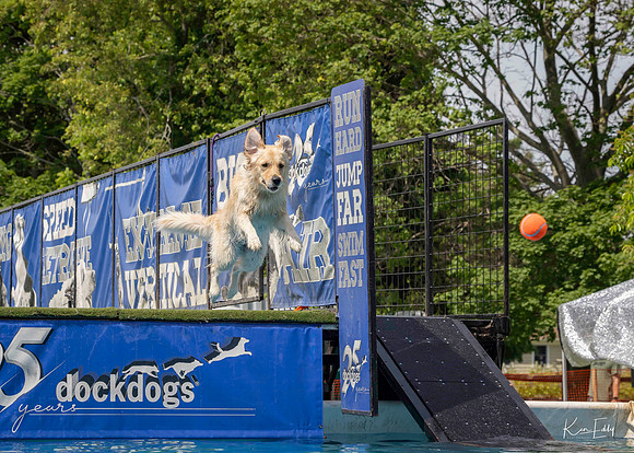 DockDogs_O5A4313_O5A4313