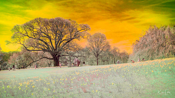 untitledDSCF2506-Edit-Edit-