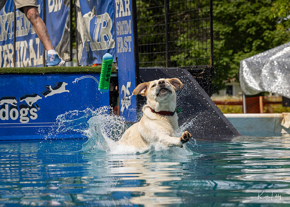 DockDogs_O5A4335_O5A4335