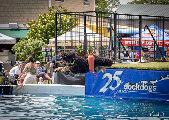 DockDogs_O5A4512_O5A4512