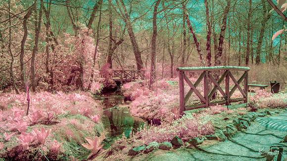 untitledDSCF2523-Edit-Edit-