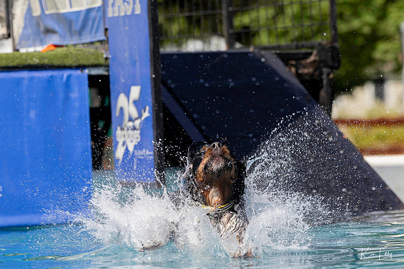 DockDogs_O5A4162_O5A4162