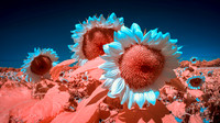 Infrared