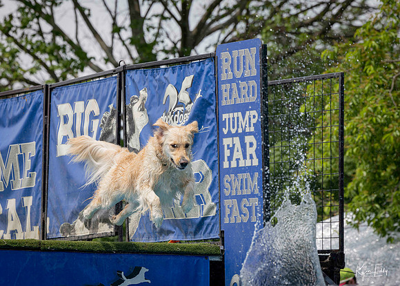 DockDogs_O5A4529_O5A4529
